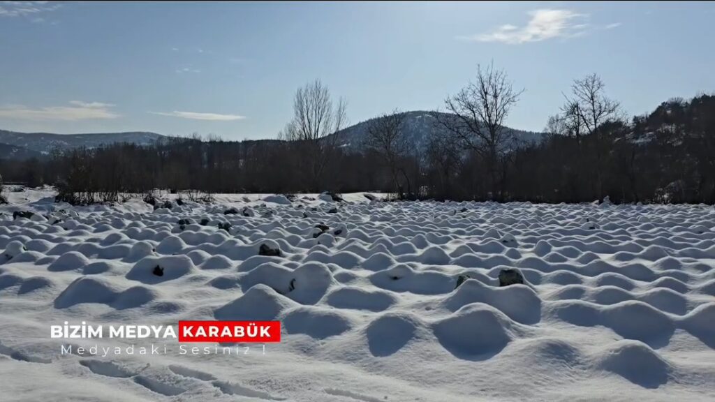 KARABÜK – Eskipazar Lahanasında 1 250 Tonluk Üretim Beklentisi.